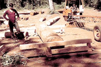Paraguay portable sawmill